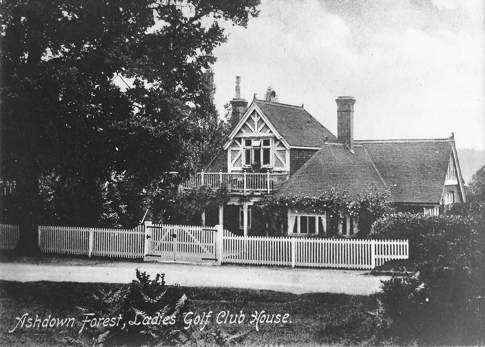Care Home (Copy)