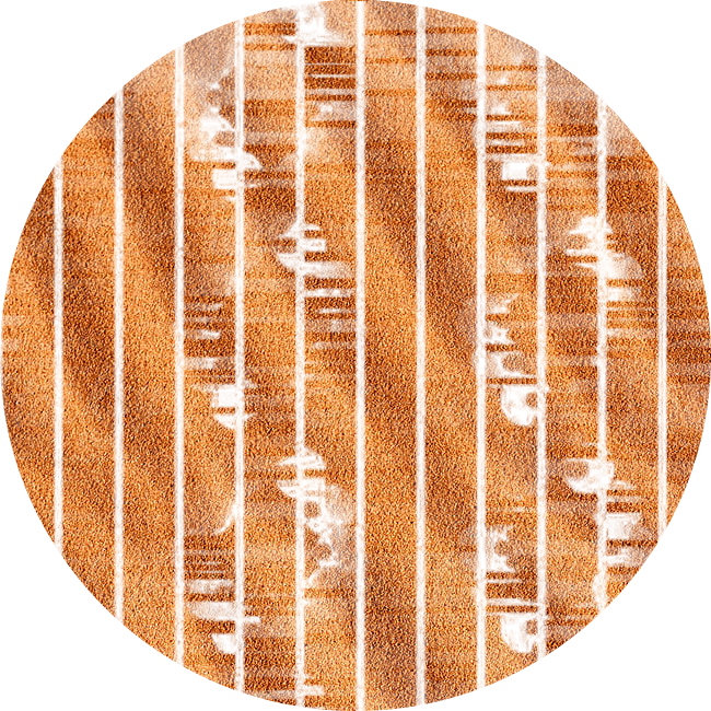 temp-circle-dna.png