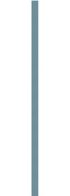 line+.jpg