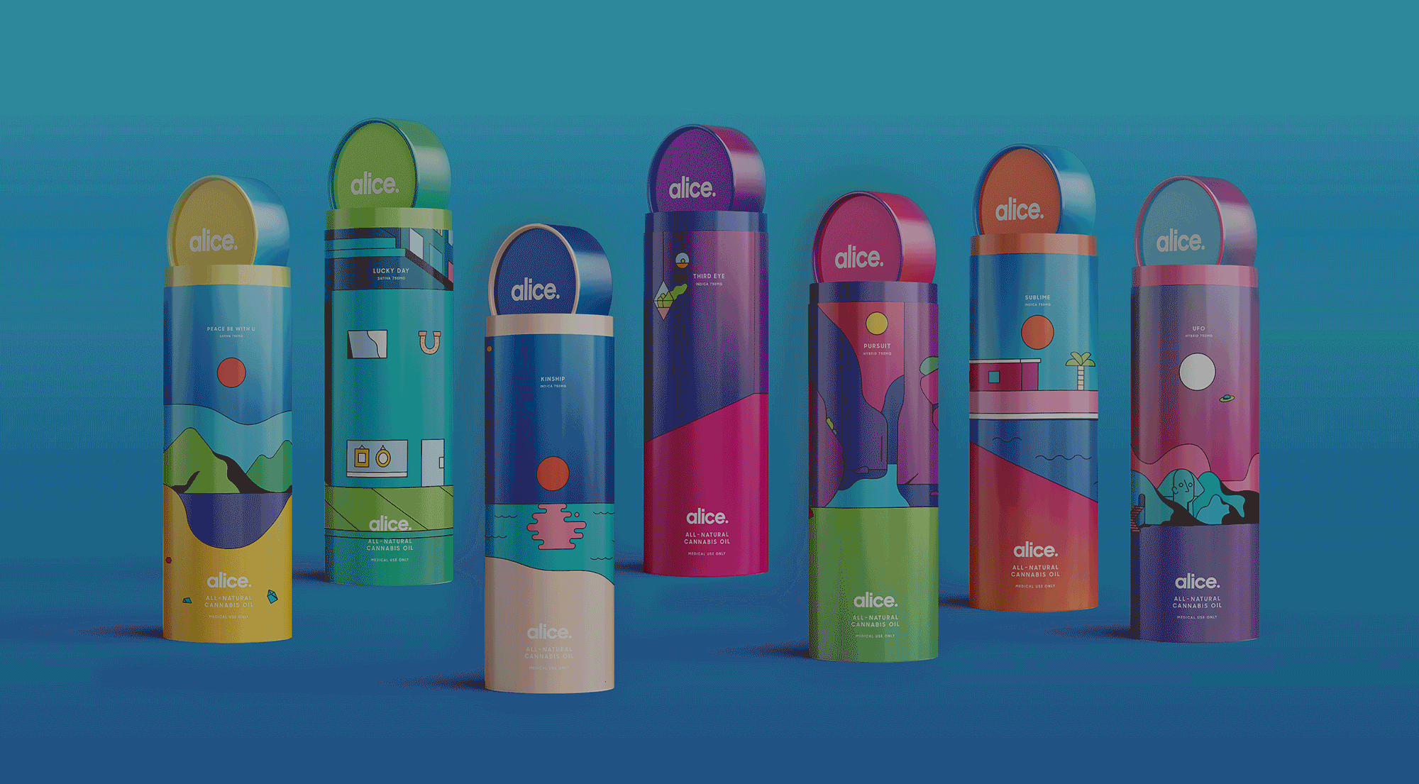 H12_BRANDS.gif