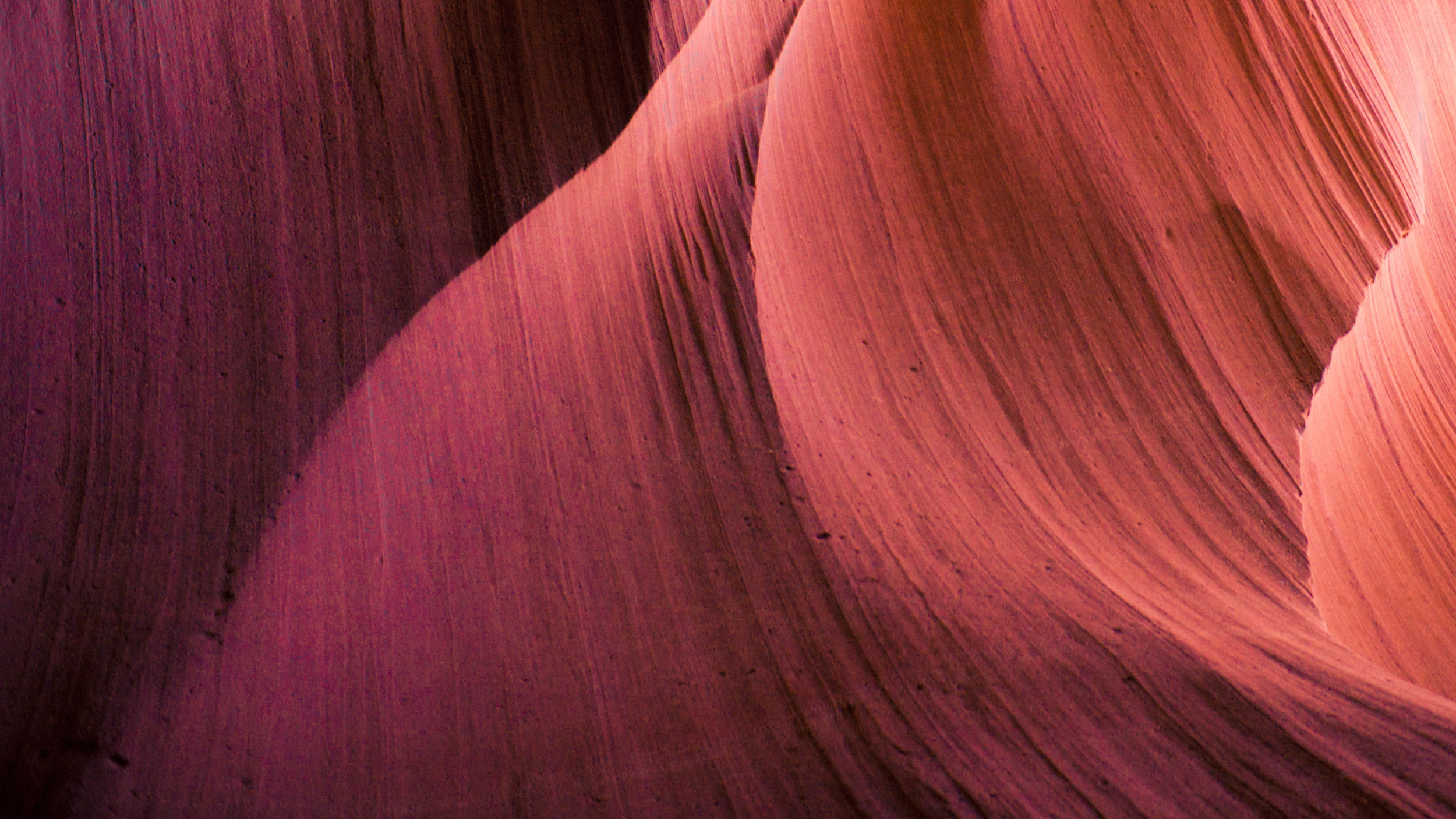 meric-dagli-408865-unsplash.png
