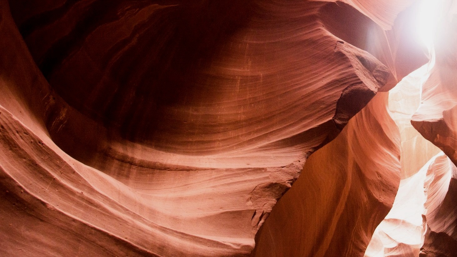 laura-agusti-134838-unsplash.jpg