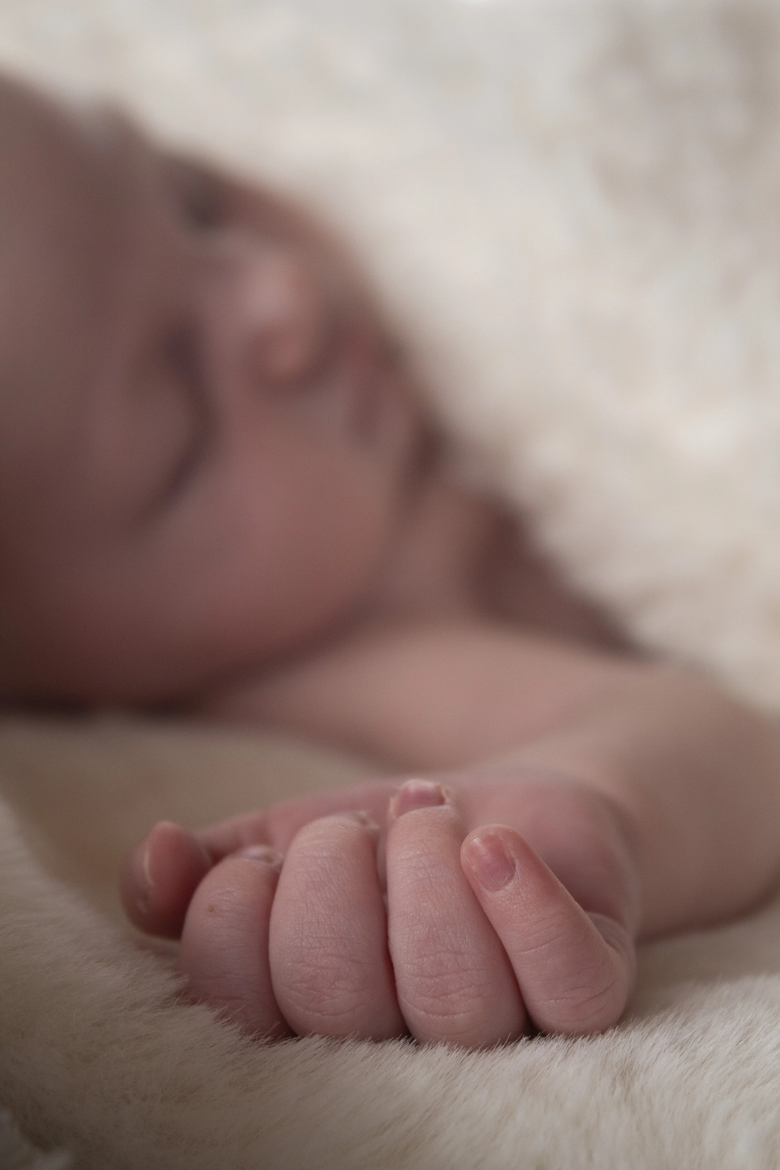 Wee James 4.jpg