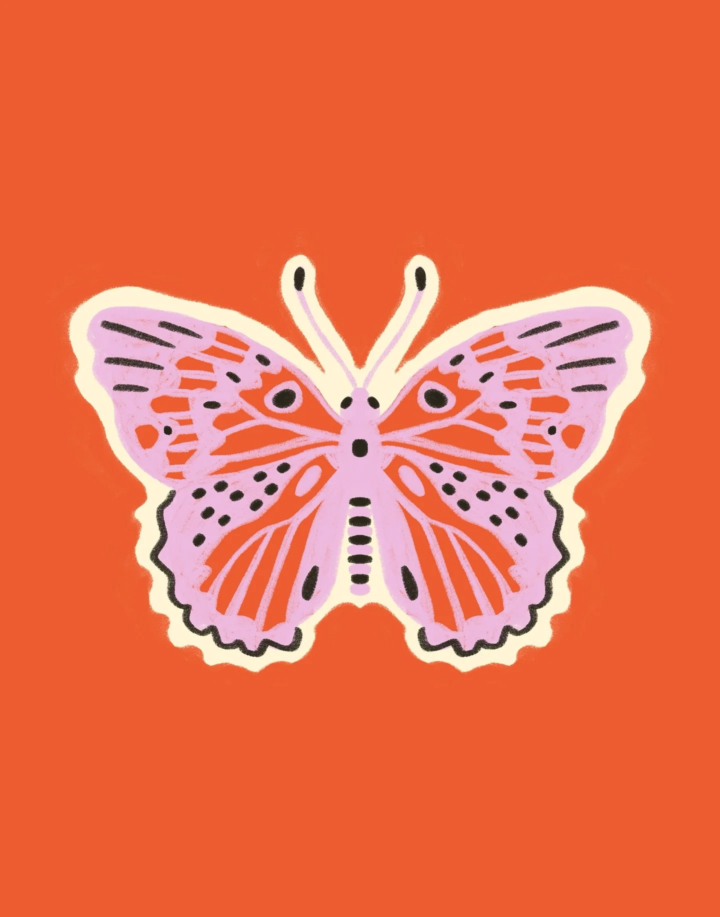 doodle bug