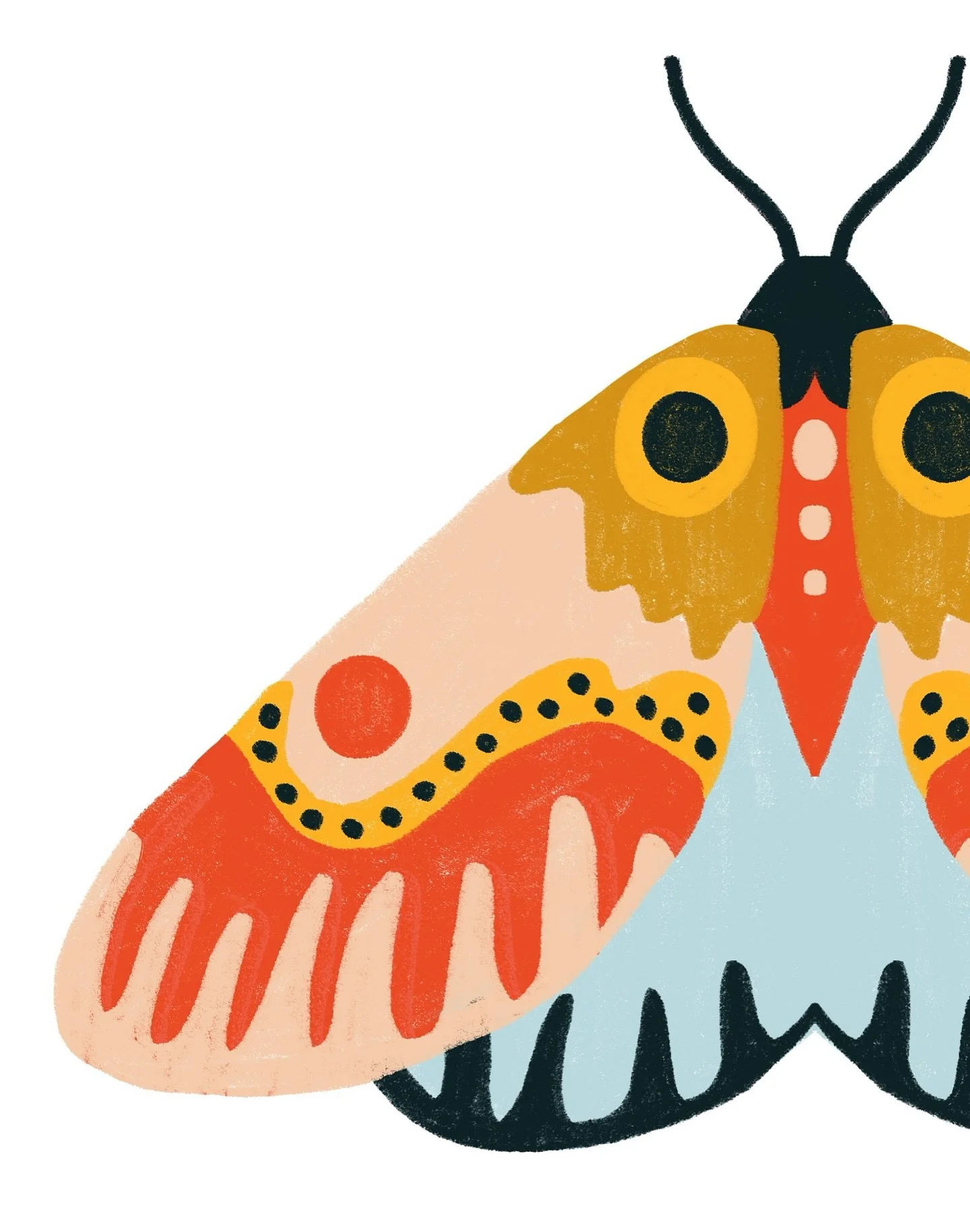 doodle bug