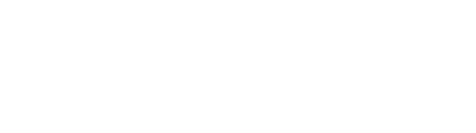 CDI.PA_BIG.D.png