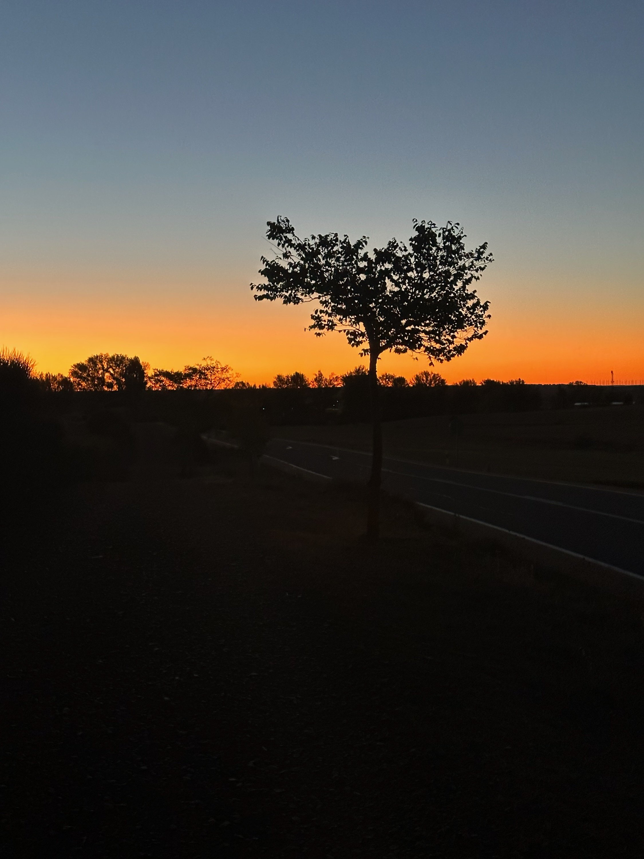 IMG_3076.jpeg