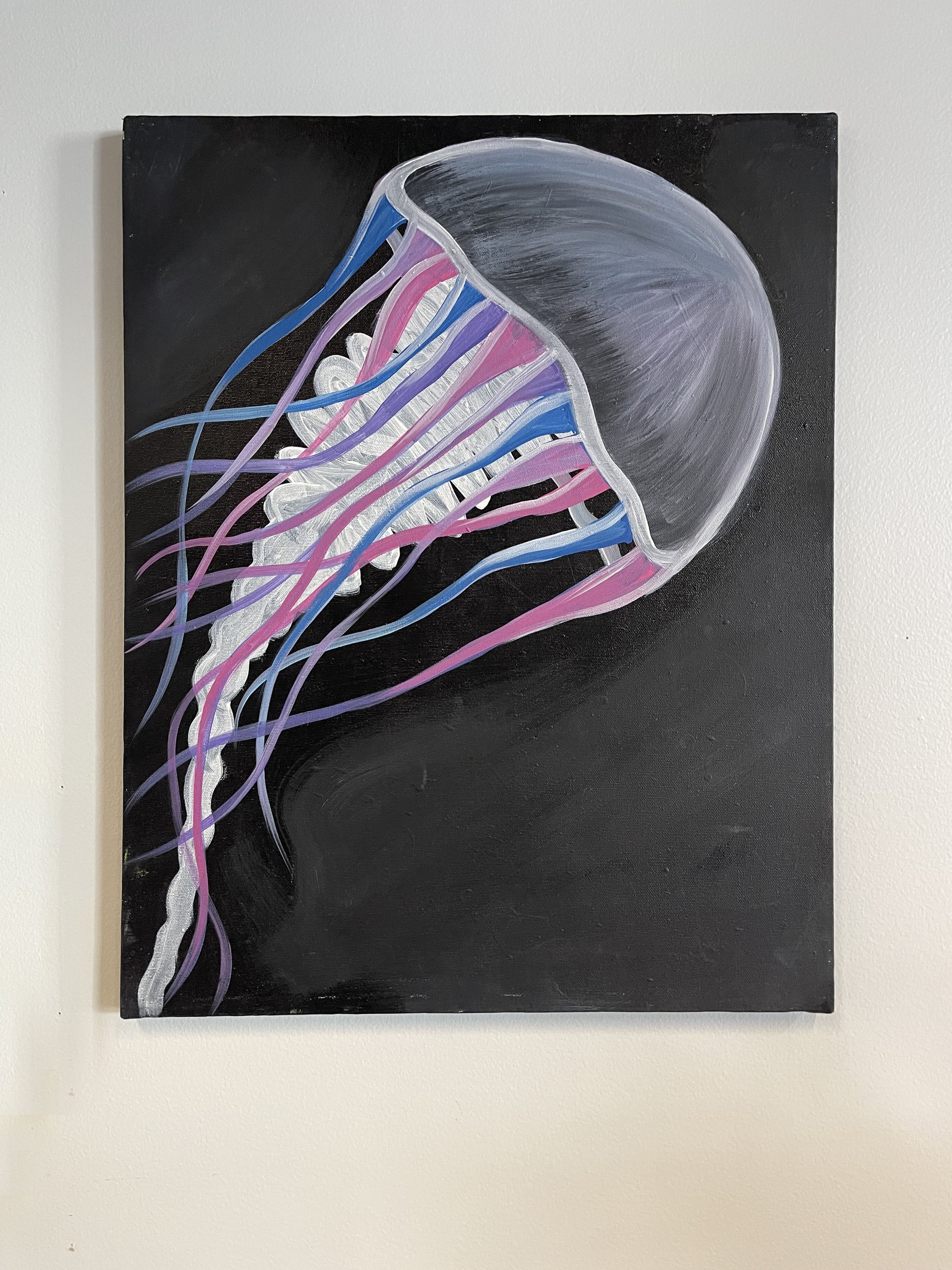 Jellyfish_front.jpg