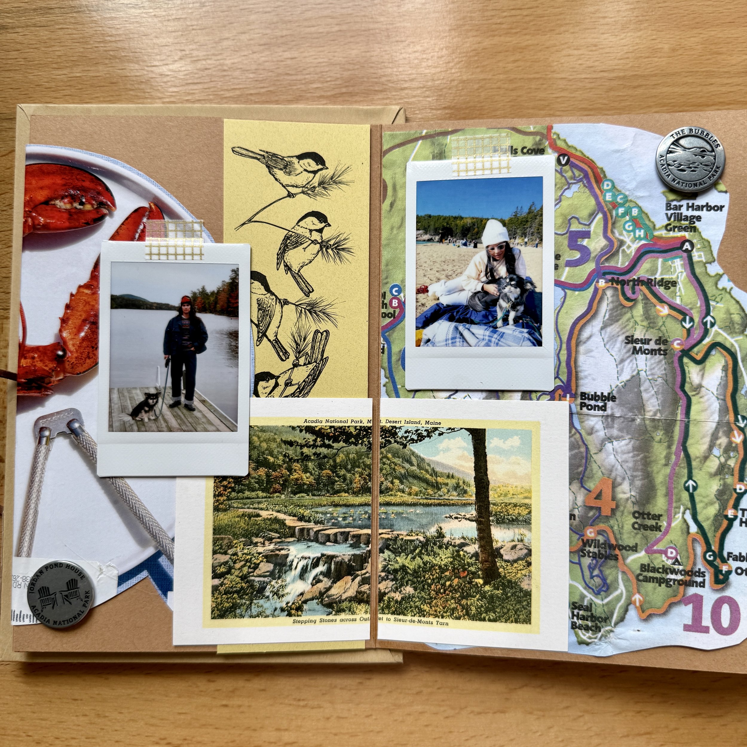 Maine themed junk journal