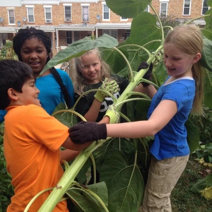 The Green School of Baltimore