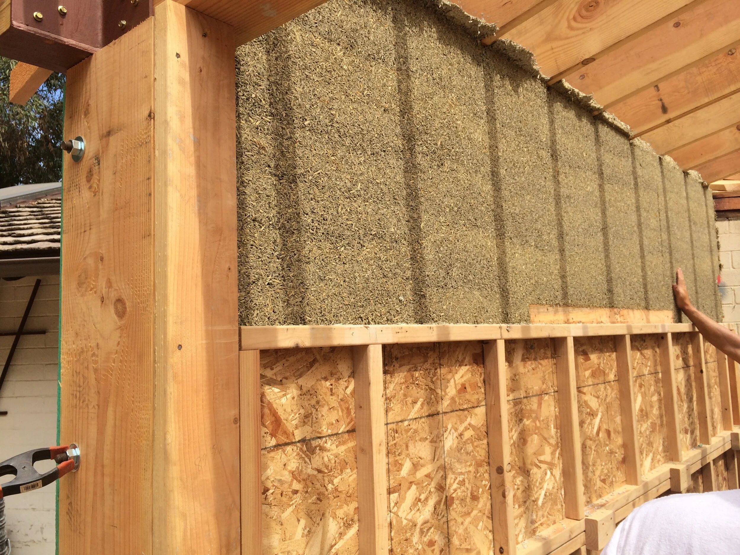 Colorado HAIZ GLOBAL HEMP GROUP