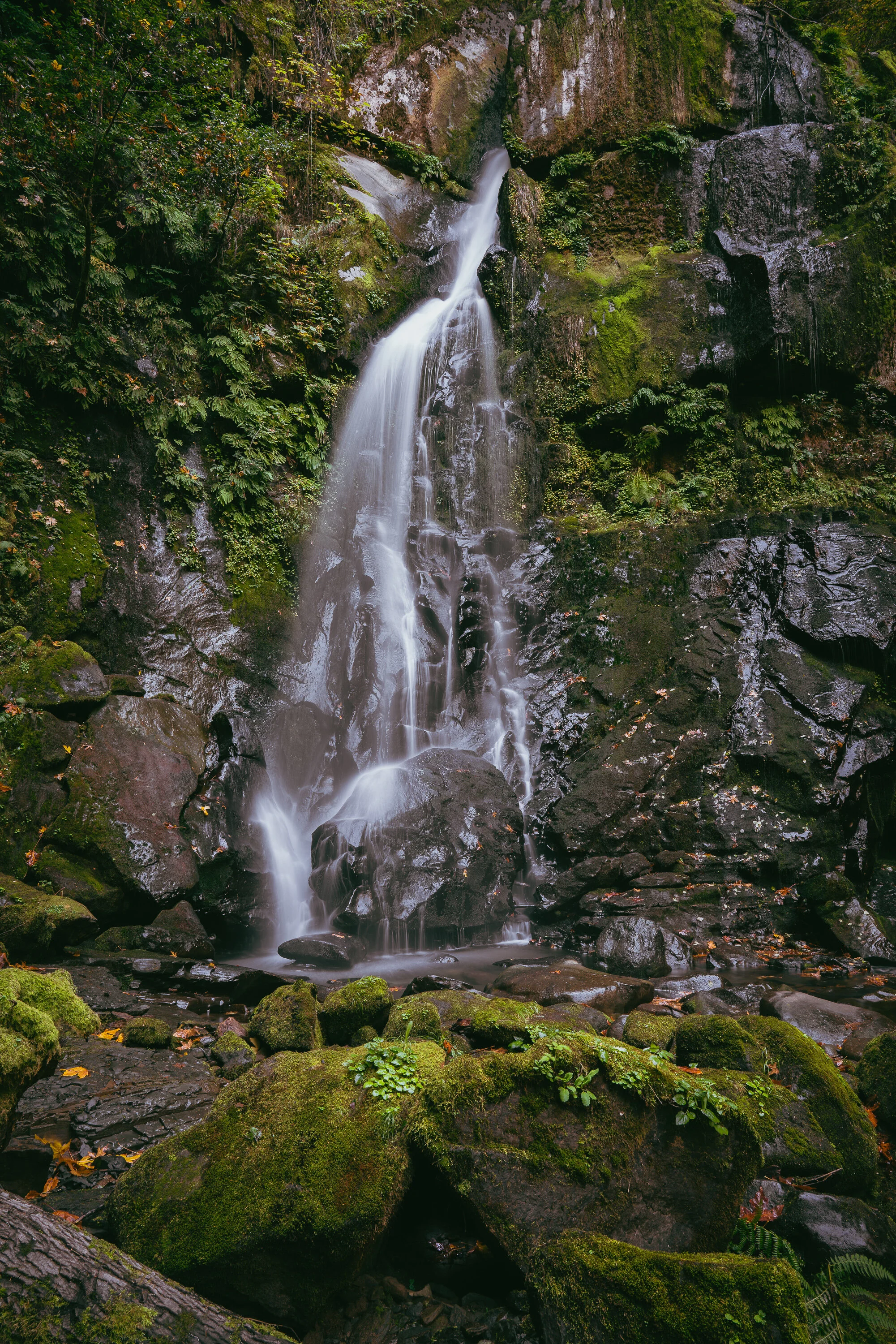 Elk Creek Falls