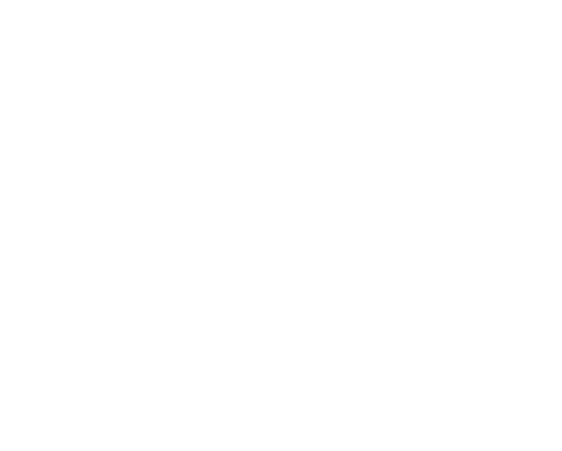 wasa logo_white.png
