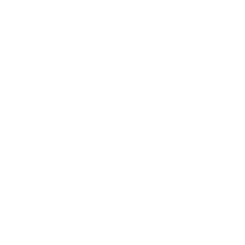 BR&THL Portfolio Logo.png