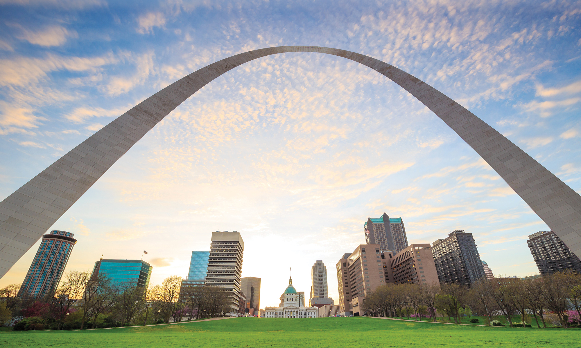 World Digital School