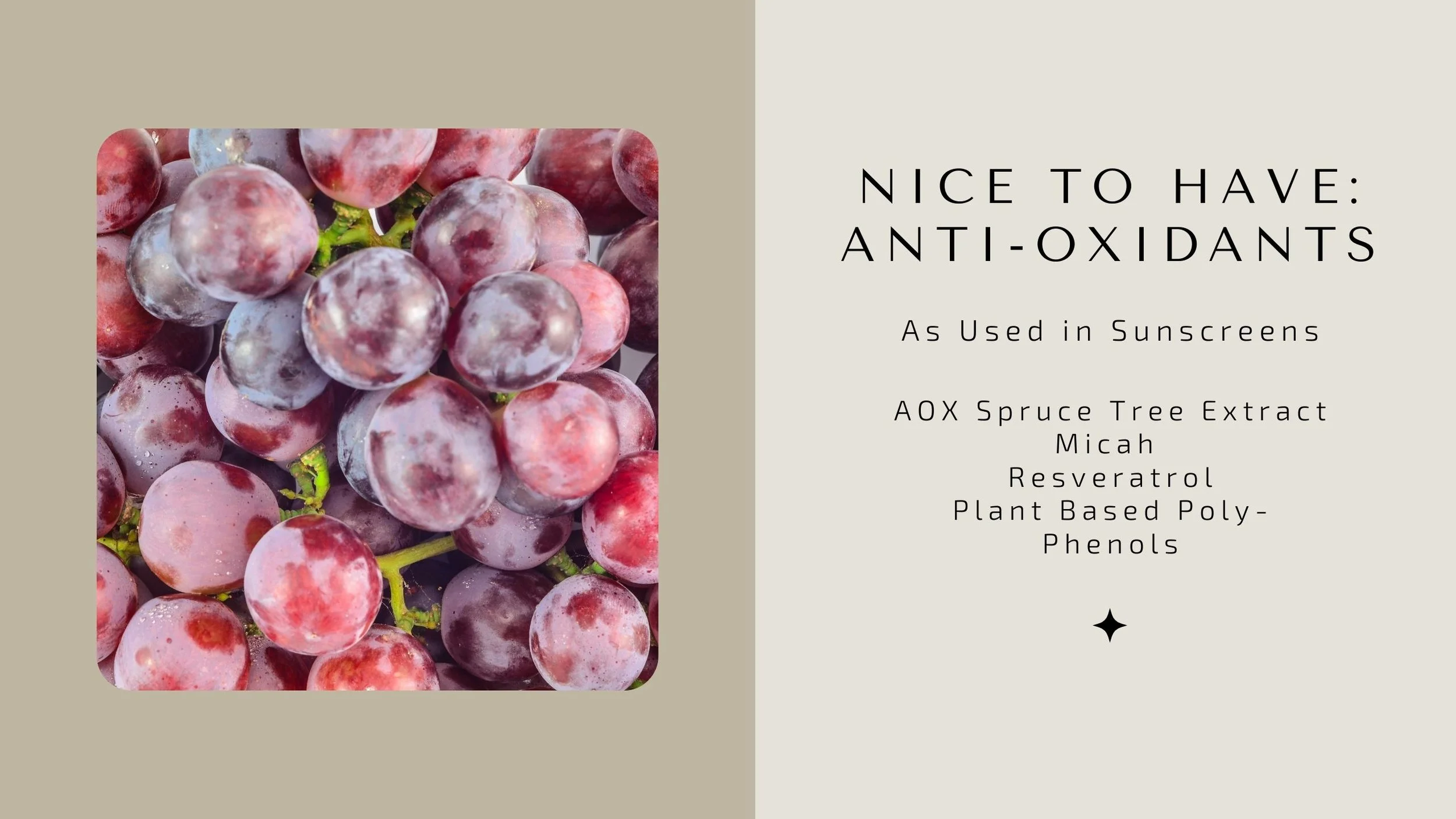 Can Sunscreens with Skincare Benefits Be A Bad Thing? — The Sunscreen Company