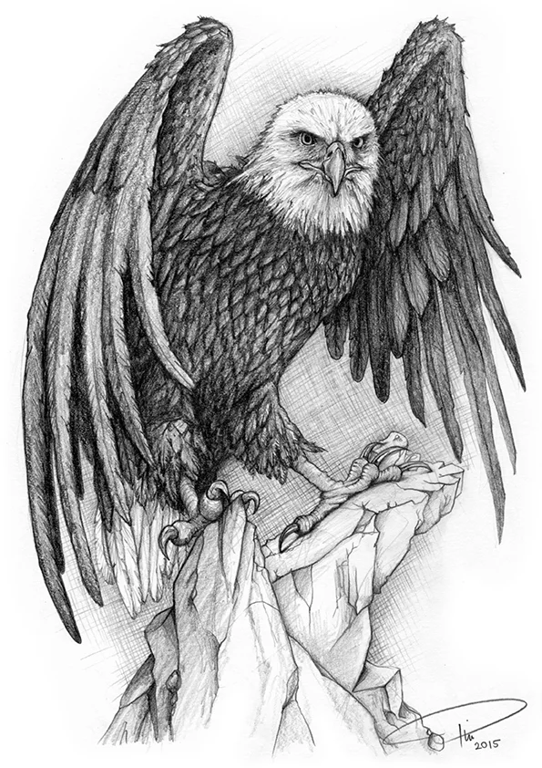 Weißkopfseeadler