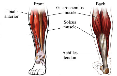 Foot-pic-2.png