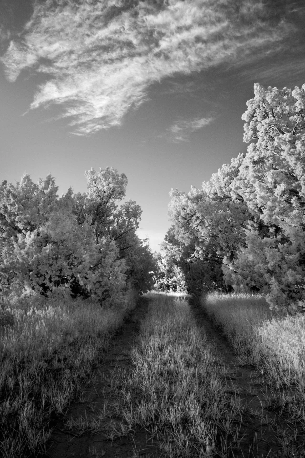 Sacred Path