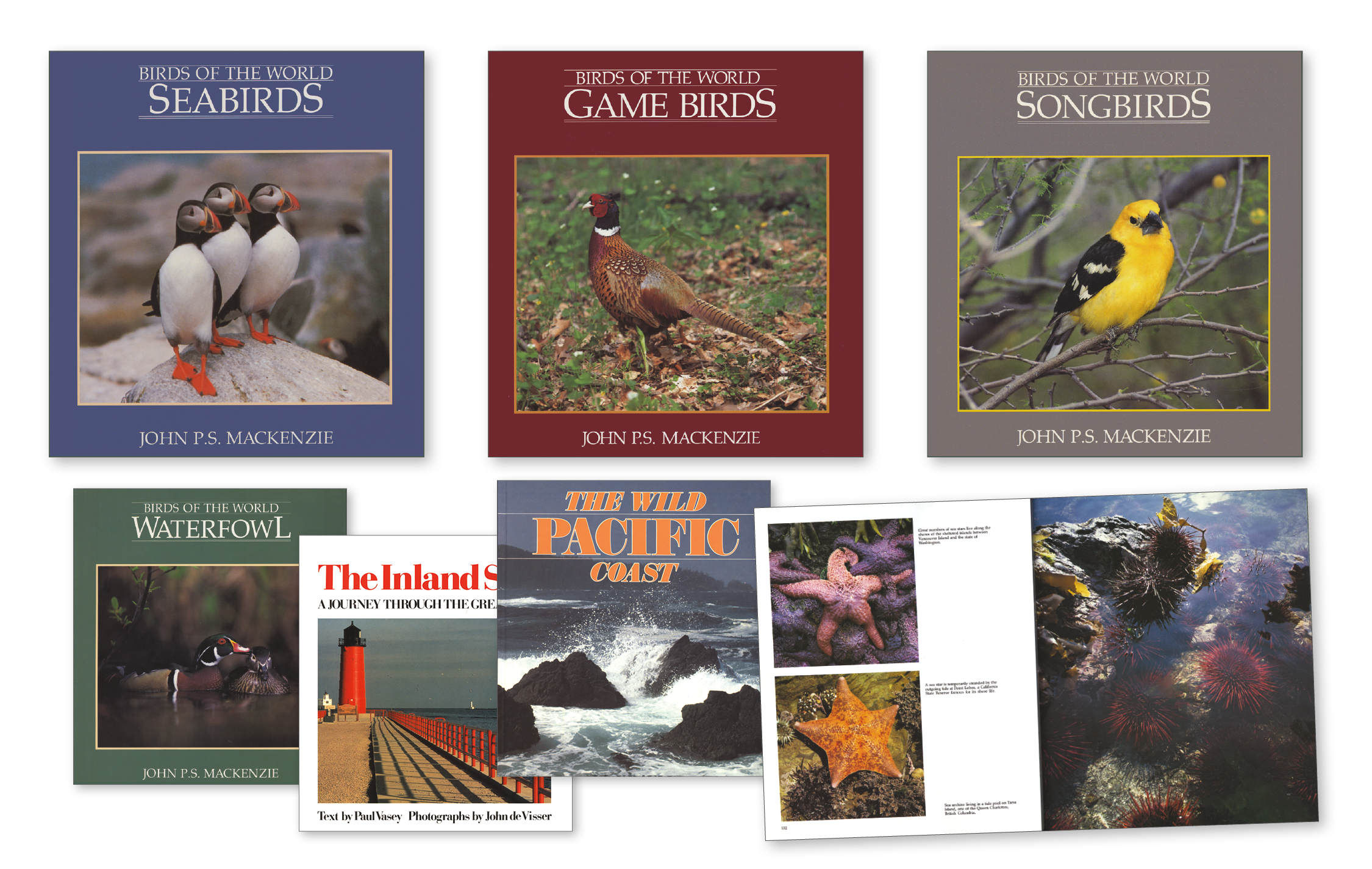 Photography Art Books