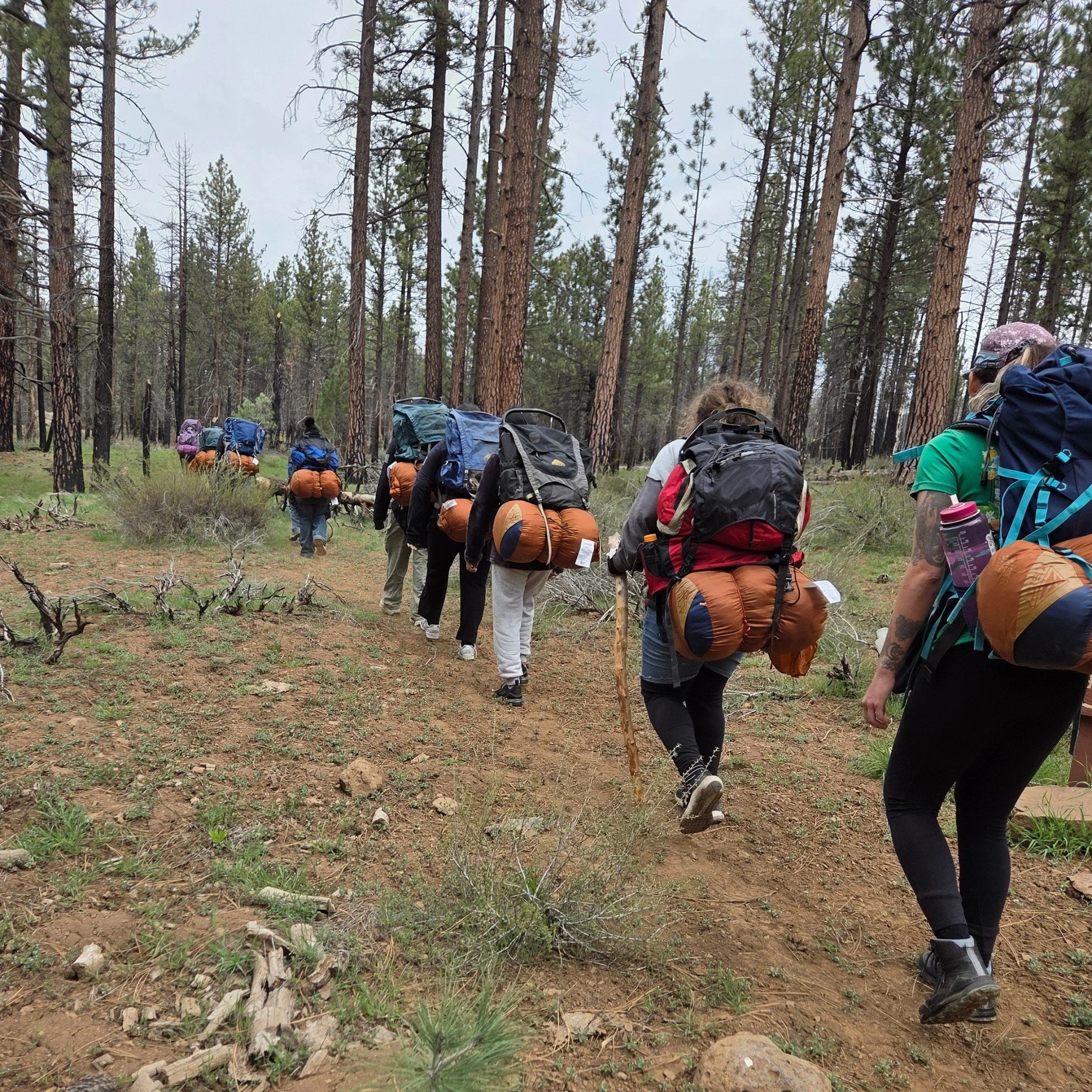 Happy Earth Day 🌎💜 

From the classroom to Pyles Camp, our students are learning how to lead, explore, and care for the world around them. 

How do you celebrate Earth Day? 🌱 

#GALSLA #LACounty #LosAngeles #VanNuys #WeAreGALSLA #EarthDay