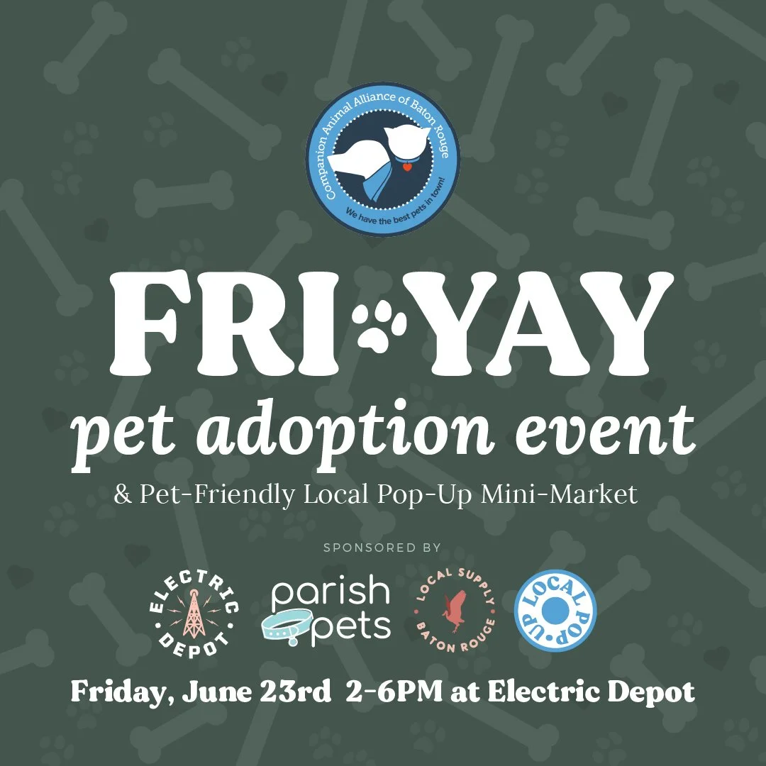CAA Fri-YAY Pet Adoption Event at Local Supply