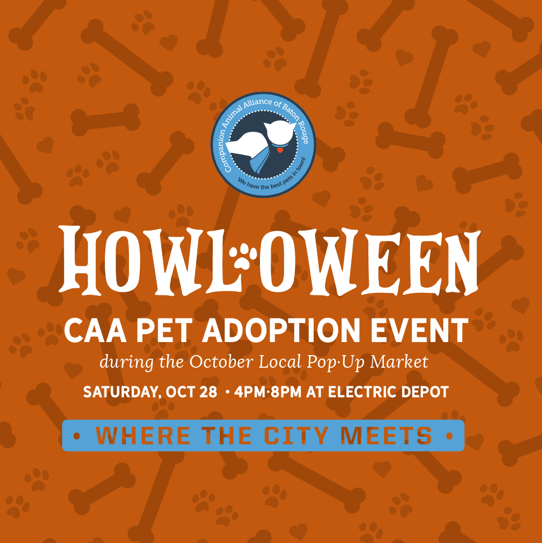 Howloween Pet Adoption Event with Companion Animal Alliance 