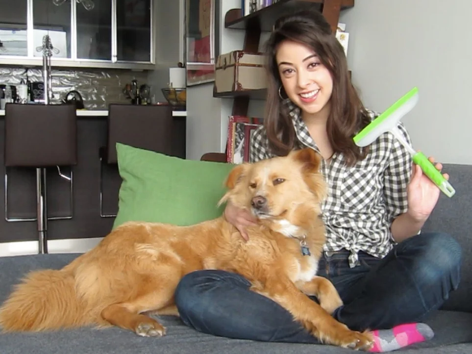 The Best Way To Remove Pet Hair From Your Couch