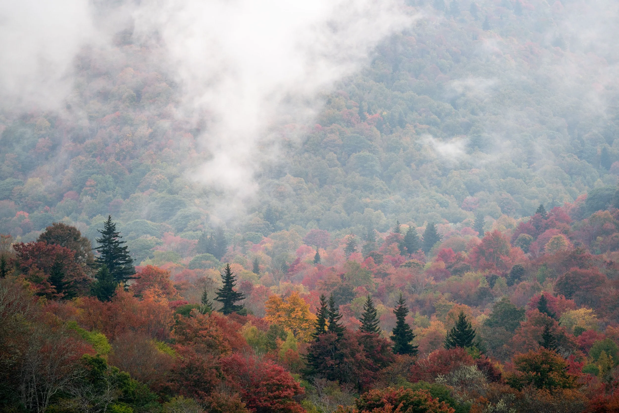 Graveyard Fields  0003.JPG