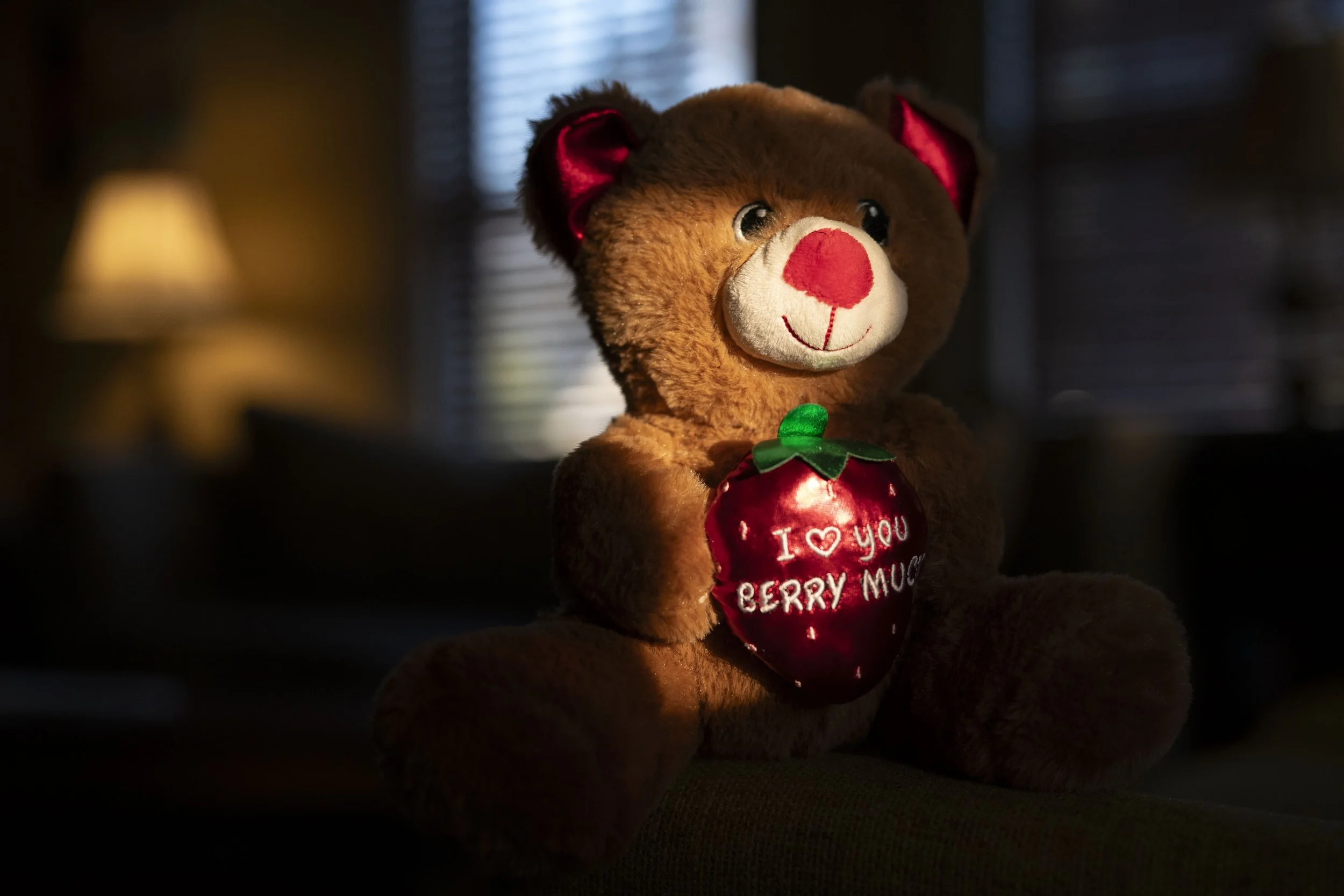 What to do: Valentine’s Weekend - Columbia, SC Events