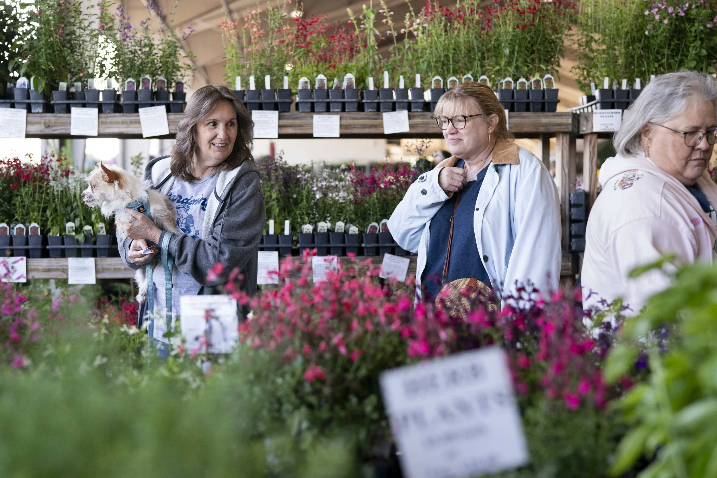 Midlands Plant and Flower Festival 