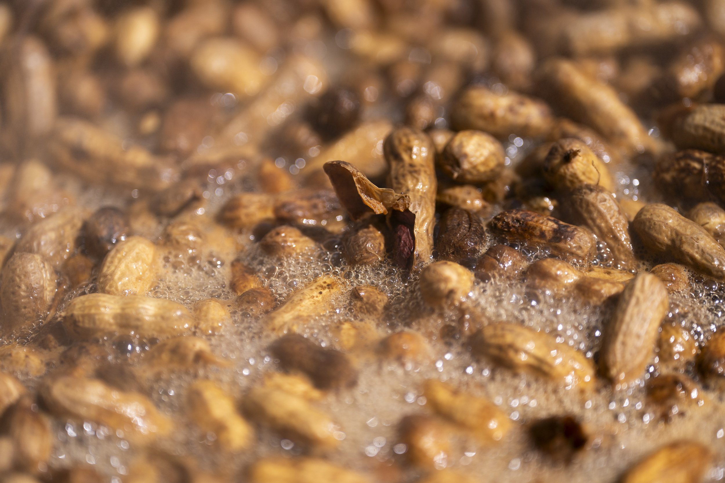 Palmetto Peanut Boil - Columbia, SC