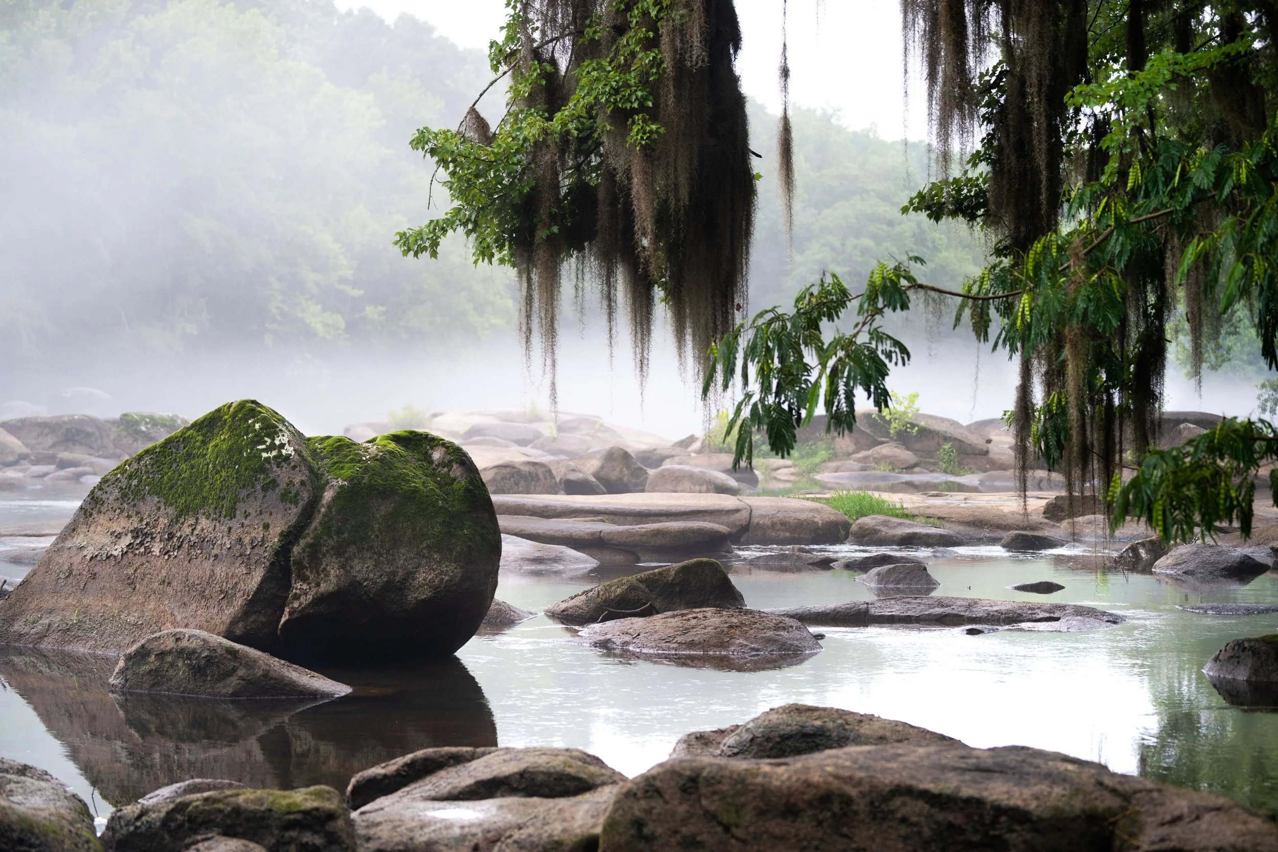 The Lower Saluda River in Columbia, SC