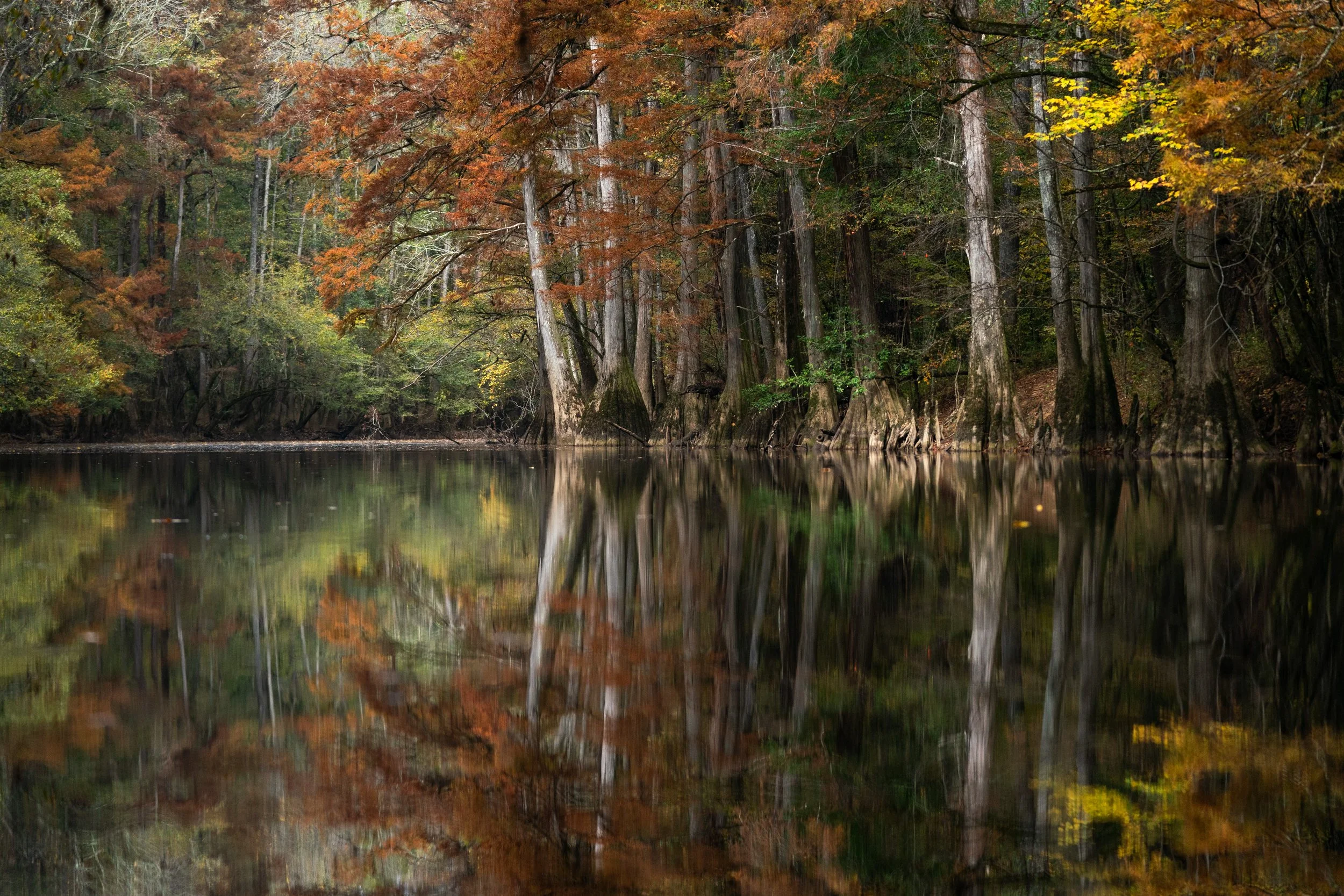 Congaree 0010.JPG