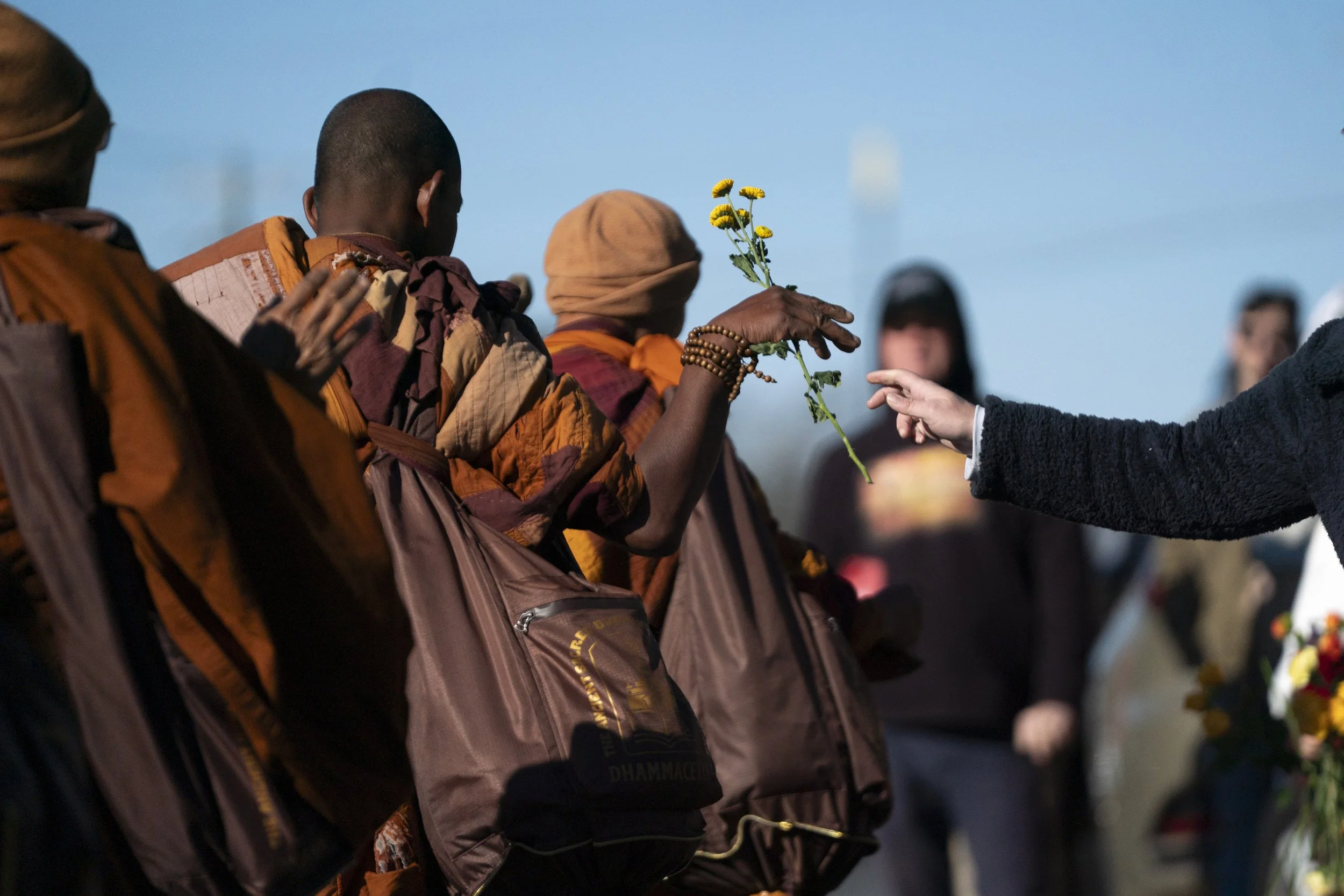 Buddhist monks continue their Walk for Peace on January 15, 2026 in Charlotte, North Carolina.