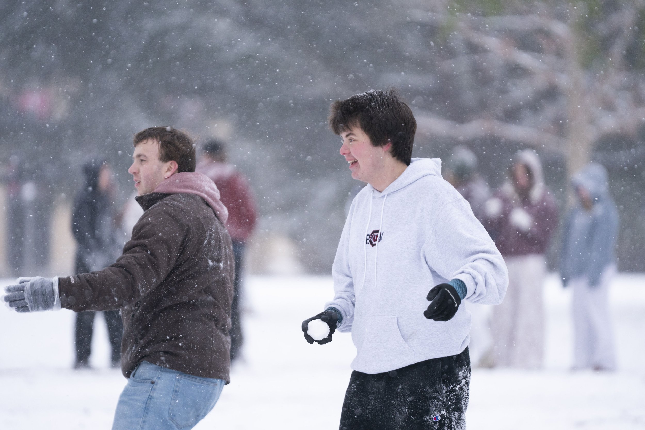 snowball usc Columbia Snow Storm Photos