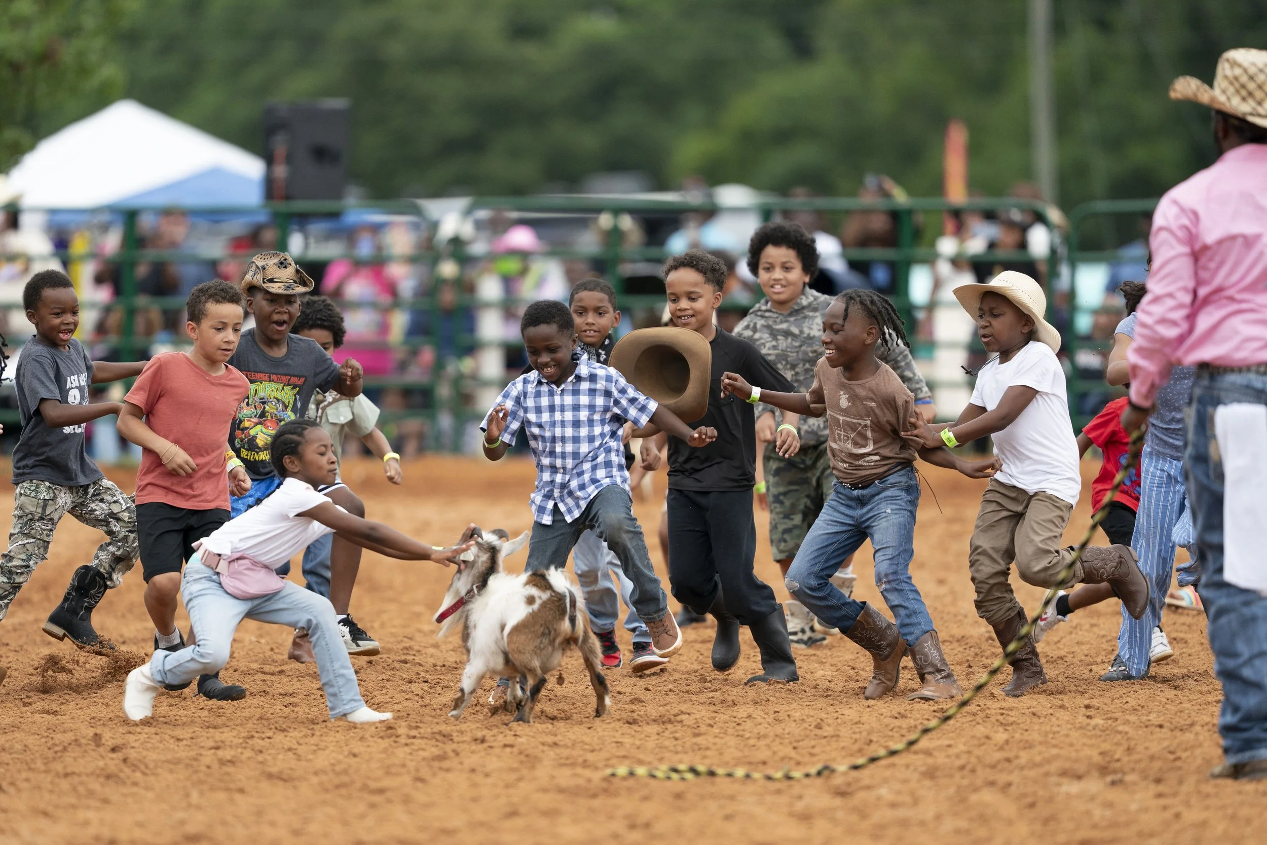 Children chase a goat at the Black Cowboy Fest