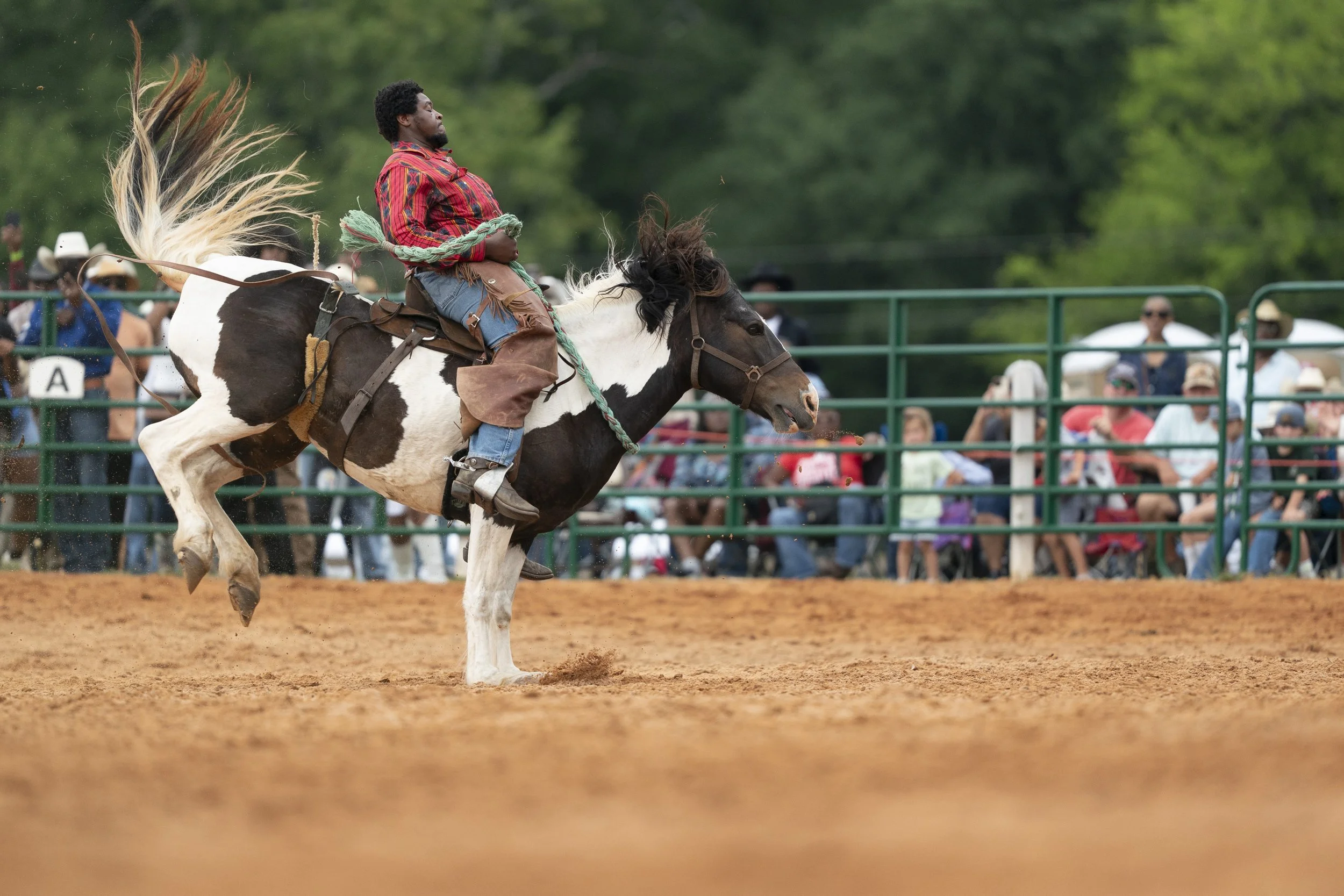 A cowboy rides a bucking horse
