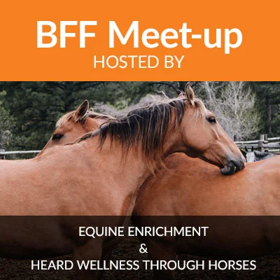 Meet-up | Rafter U7 Ranch & Wellness Centre