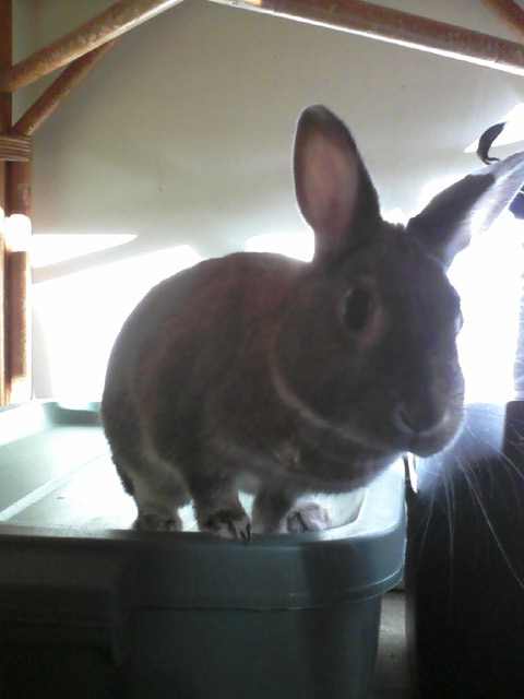 January 2011 036.jpg