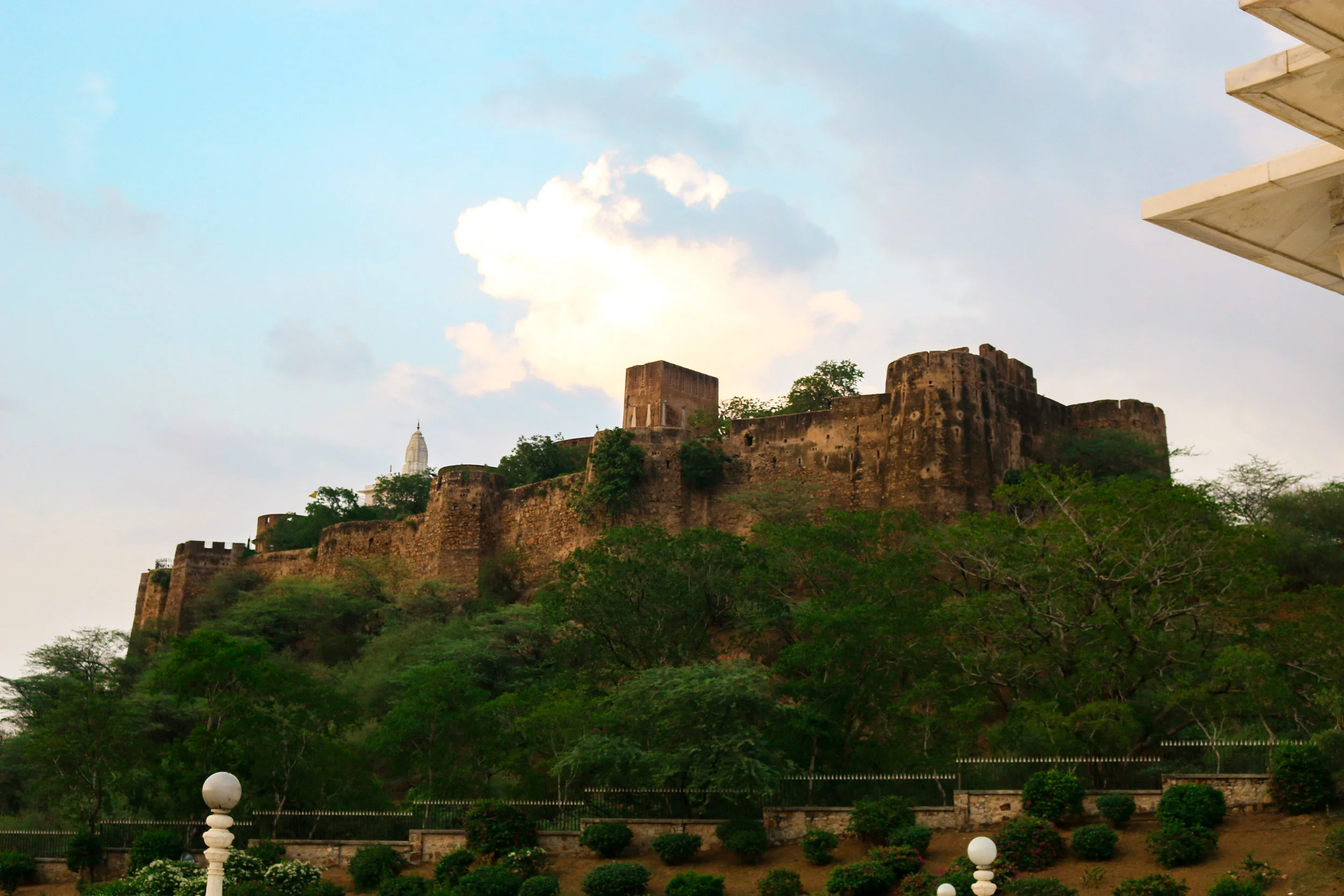 IMG_9568-1.jpg