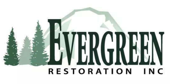 Evergreen Restoration November 2017.png