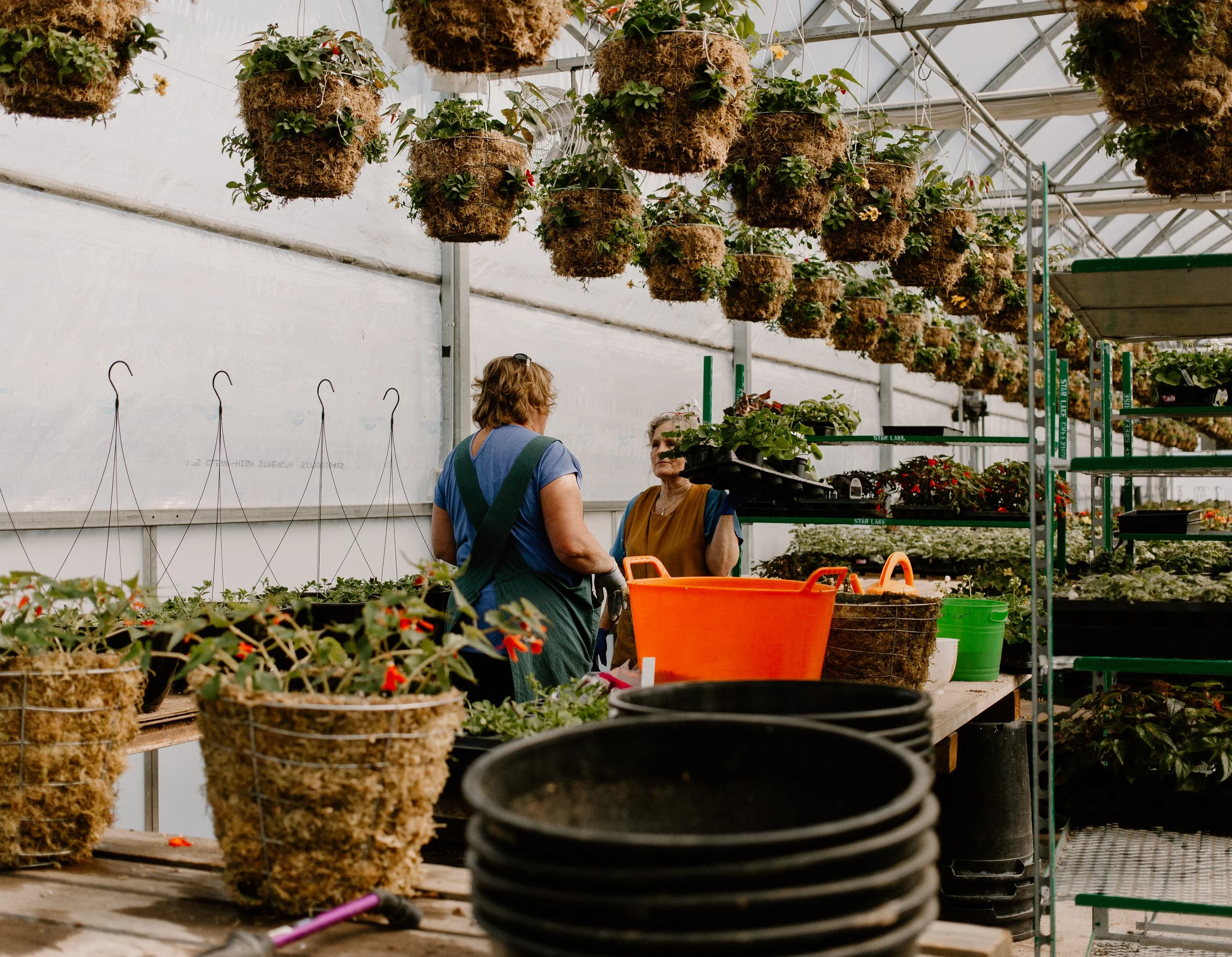 Step By Step Greenhouse