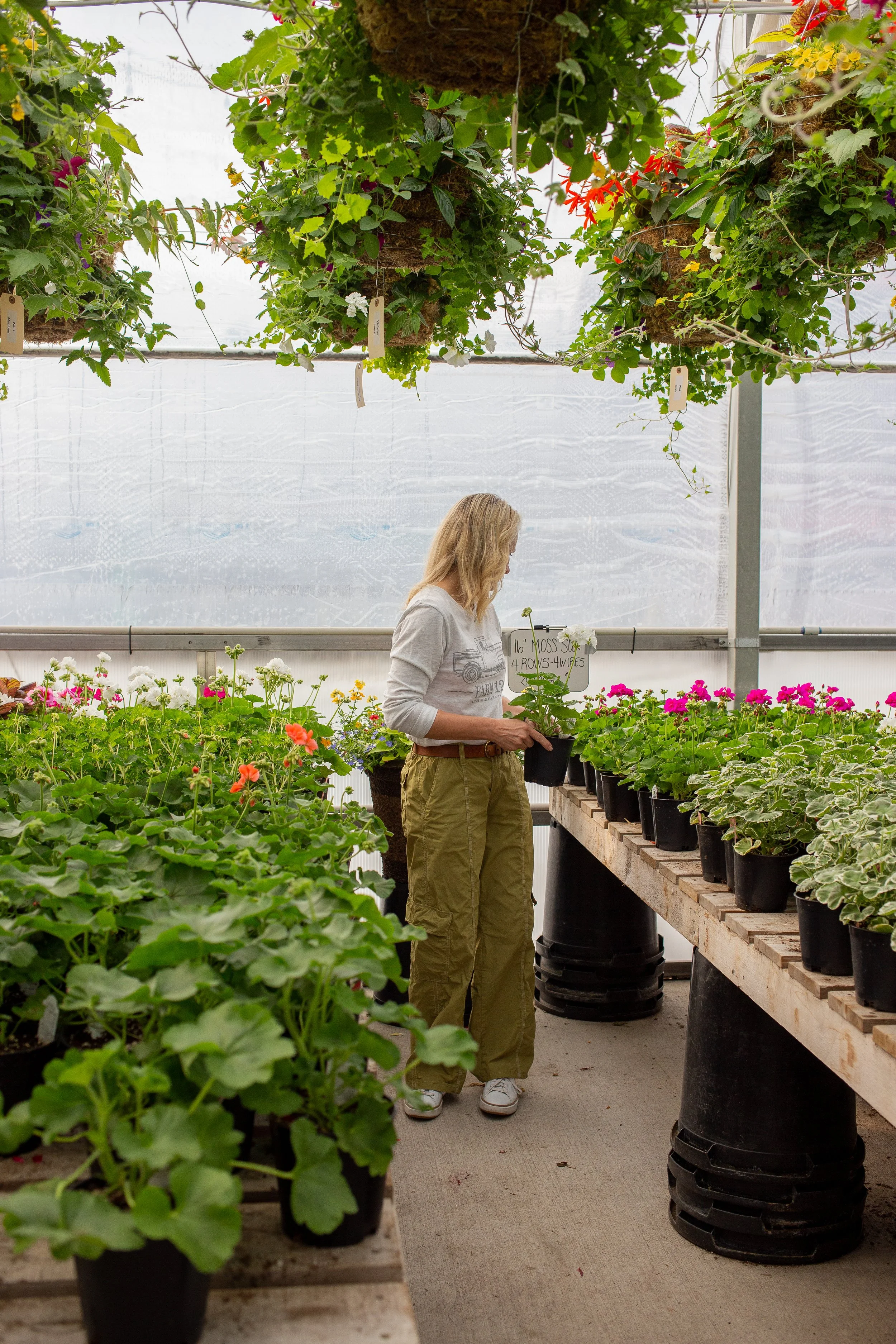 Greenhouse Opening Day