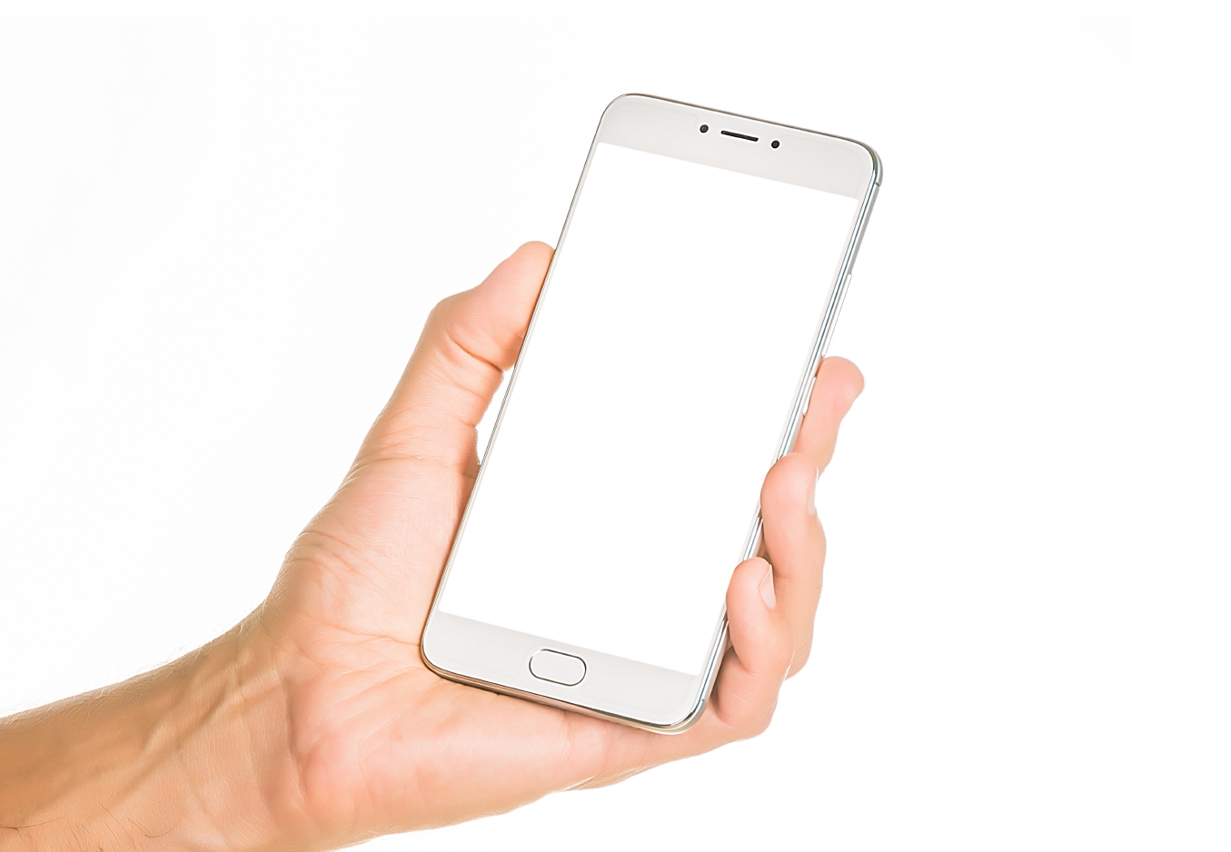 BlueWhale_Assets_phone.png