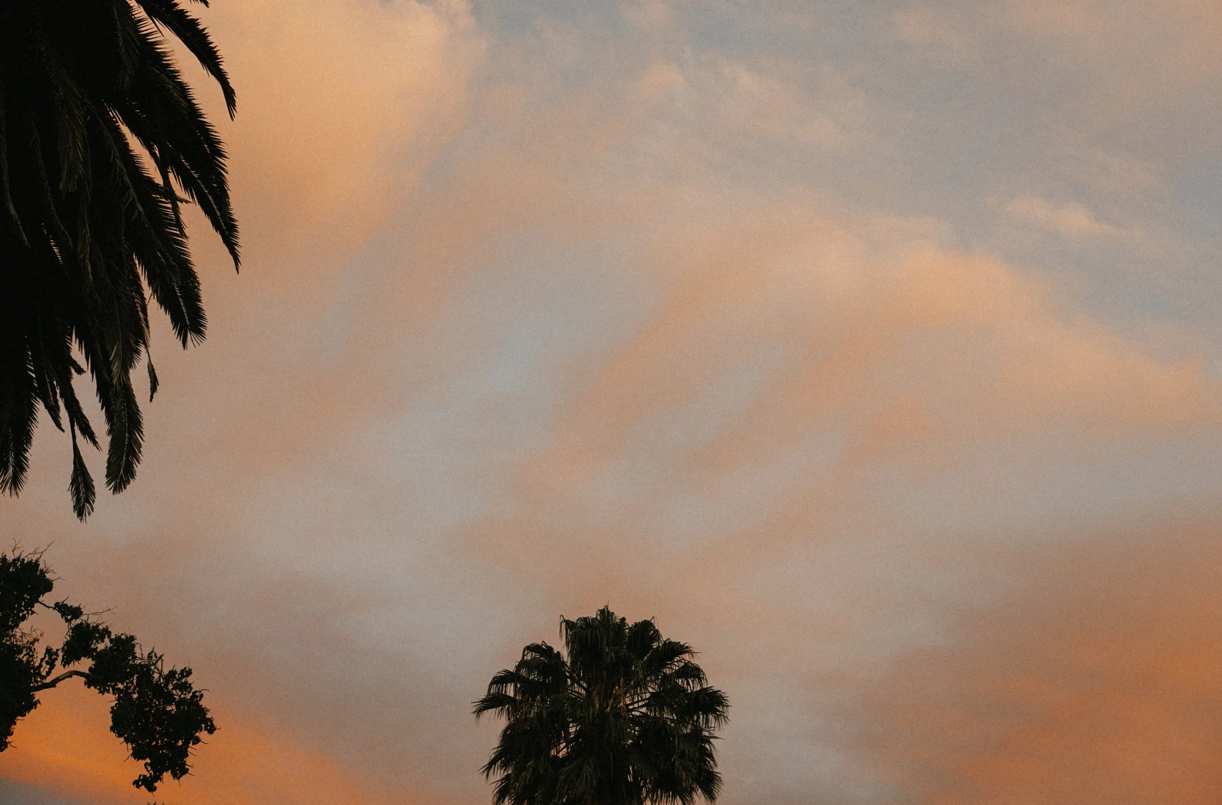dsc00795.jpg