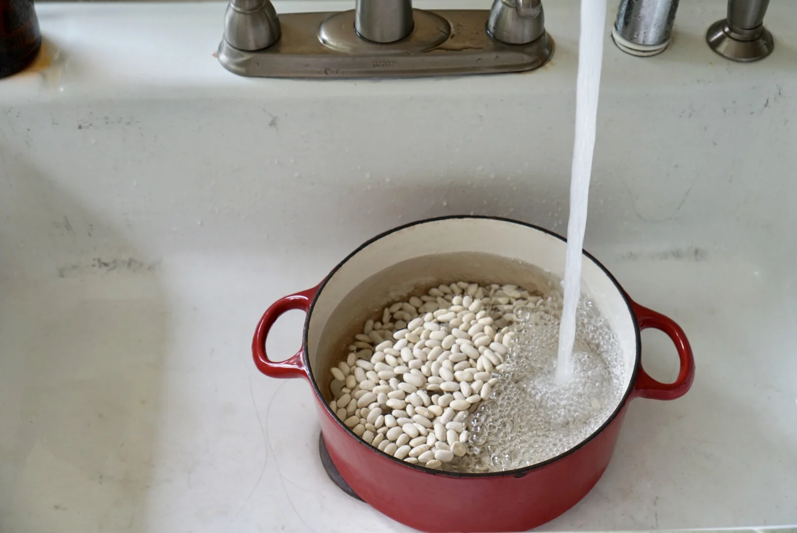 bean eaters — mama eats plants