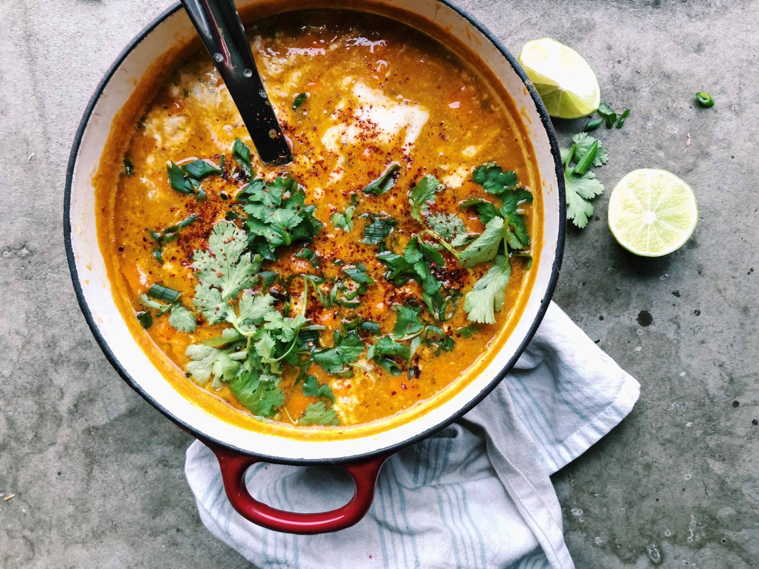 red lentil coconut + ginger curry