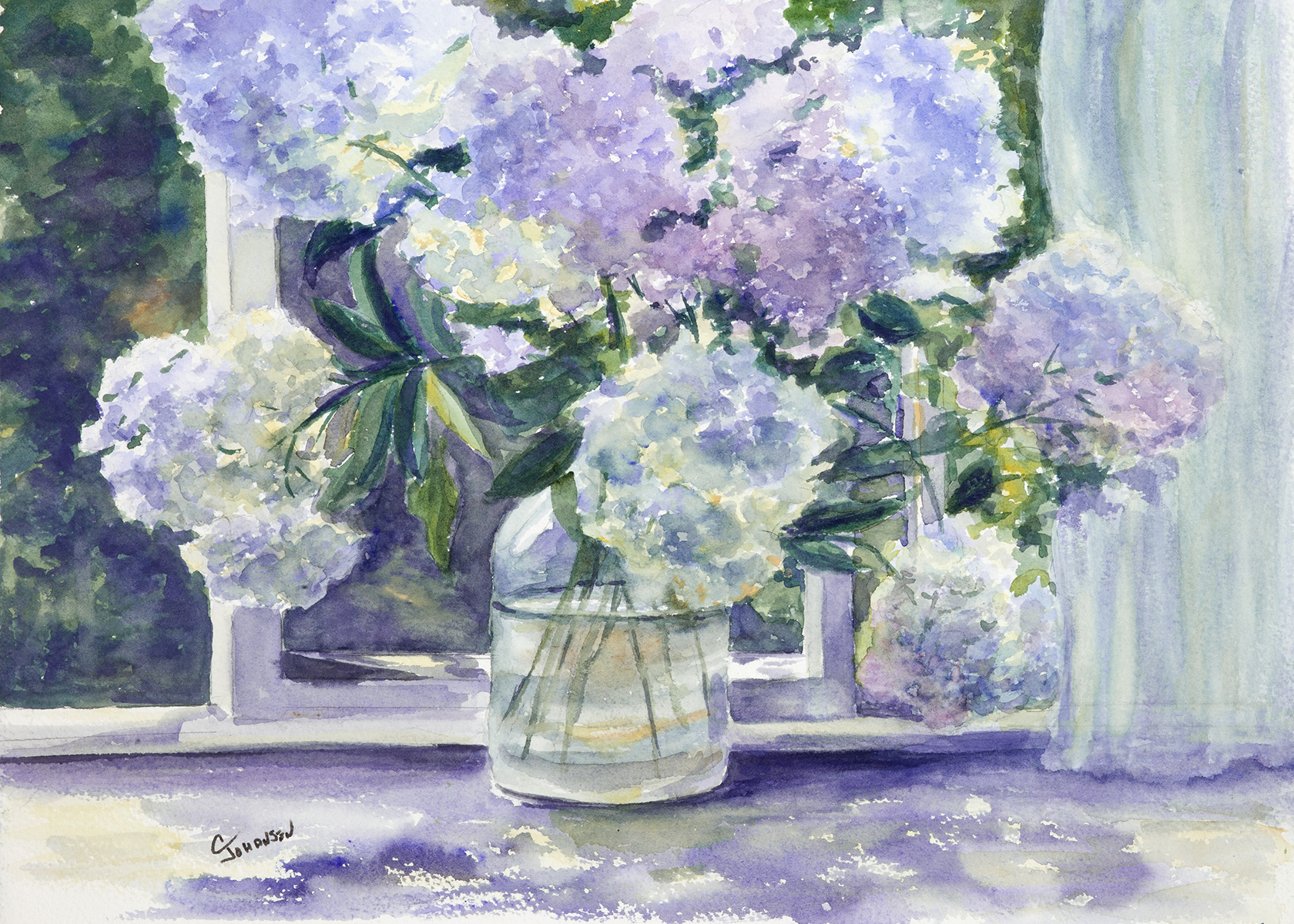 Johansen #262 Hydrangeas by Window.jpg