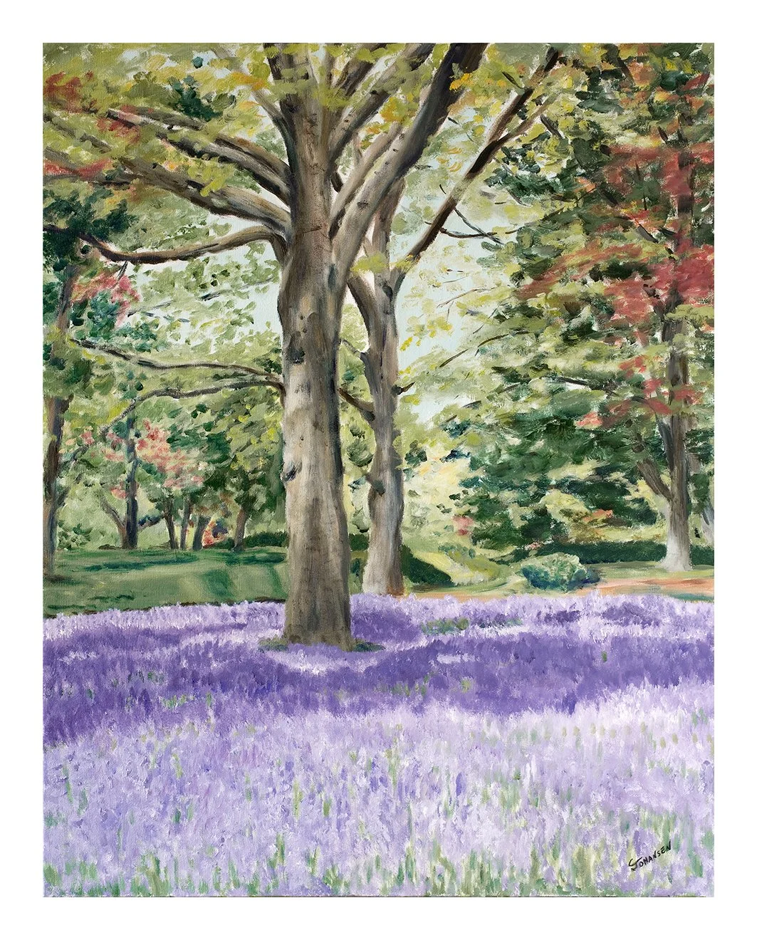 Johansen #209 Shadows through the trees.jpg